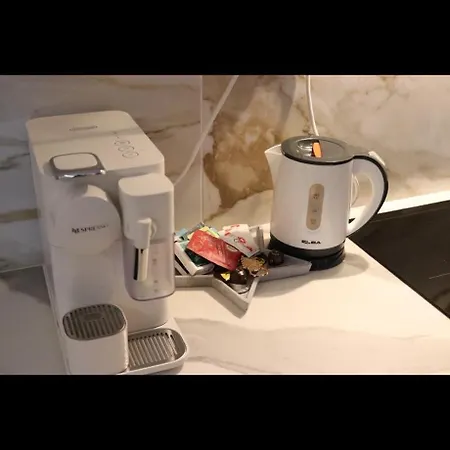 Crans Montana-snow Island 公寓